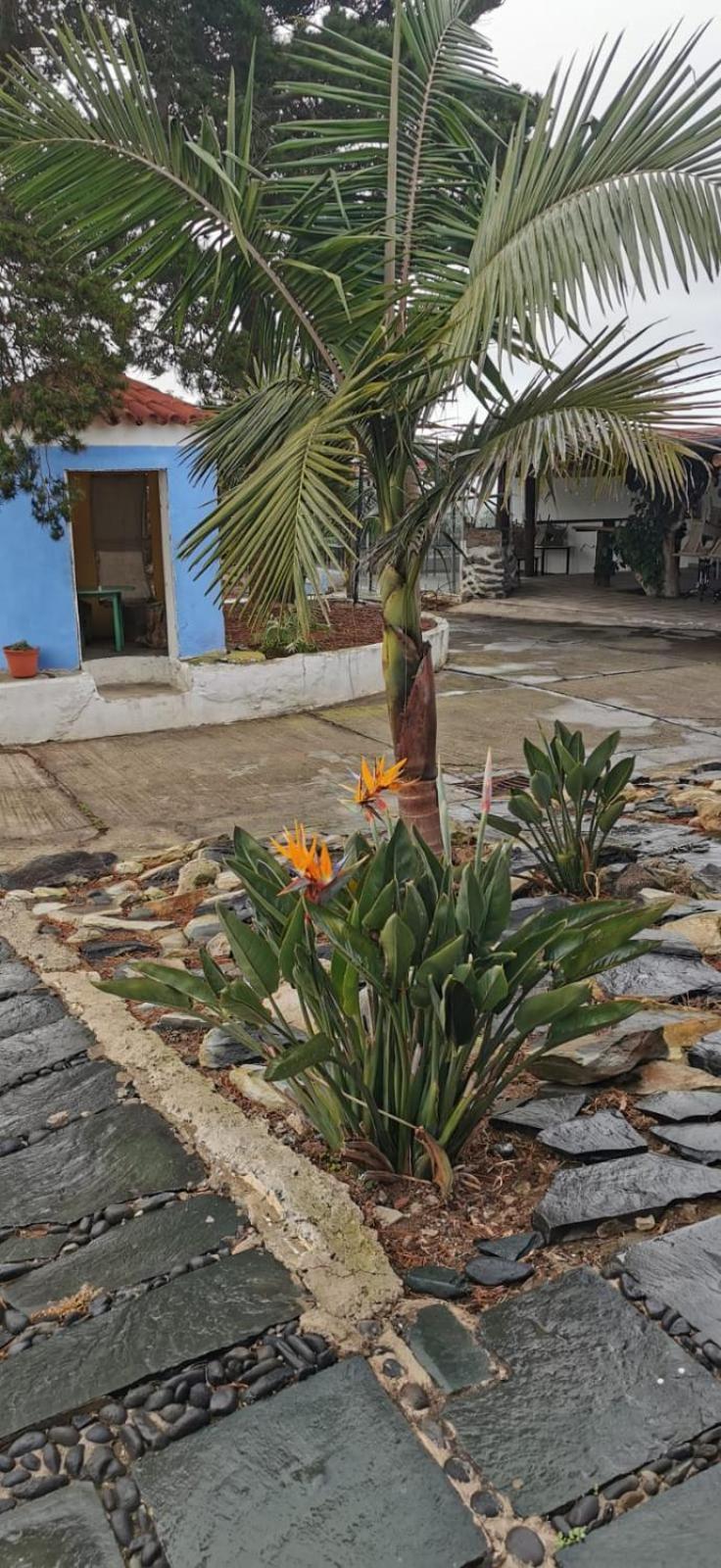 הוילה Firgas Casa La Caldera חדר תמונה