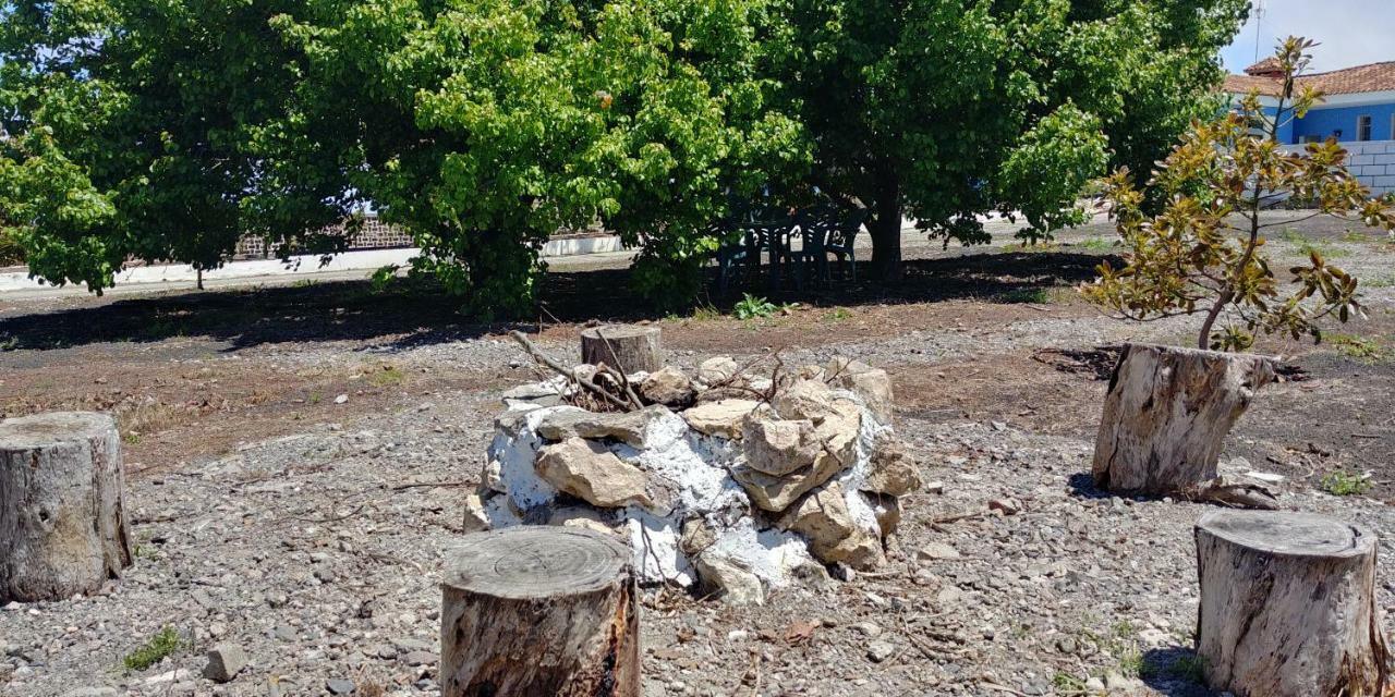 הוילה Firgas Casa La Caldera מראה חיצוני תמונה